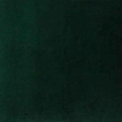 Soft Plush Velvet - Green